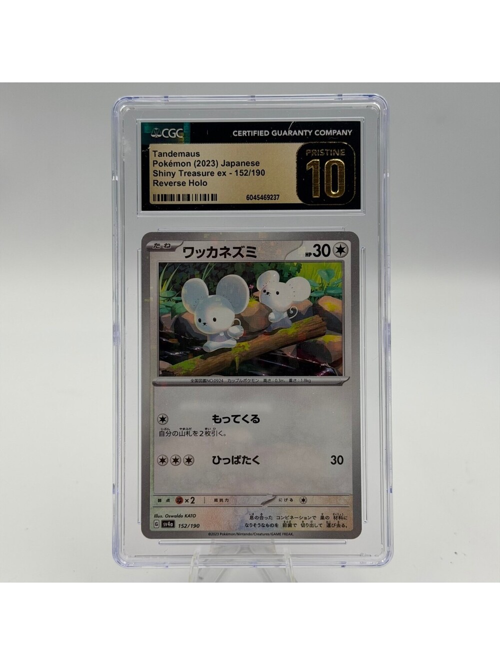 Pokemon Tandemaus 2023 Shiny Treasure ex Nintendo 152/190 Reverse Holo CGC 10